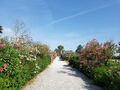 italie 012z